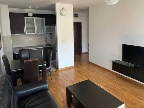 Rent, one bedroom apartment, 45m², Zagorič, Podgorica - image 2