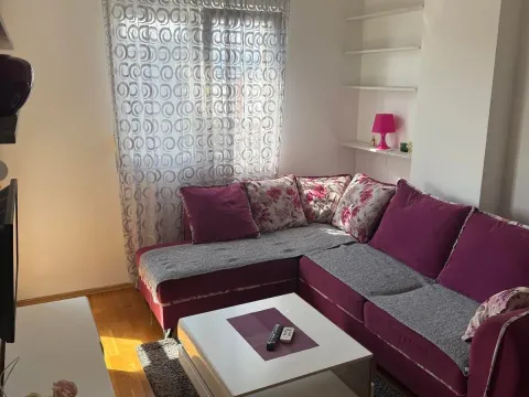 Rent, one bedroom apartment, 45m², Ljubović, Podgorica - image 6