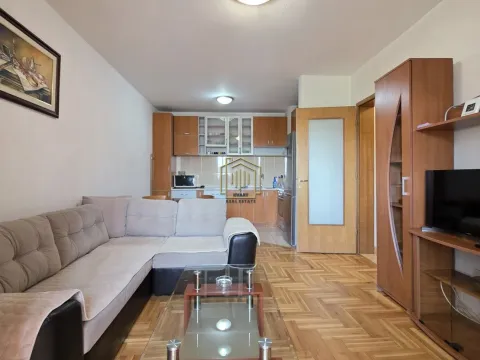 Izdavanje, jednosoban stan, 44m², Zabjelo, Podgorica - image 3