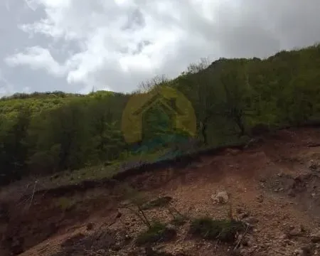 Prodaja, plac, 144000m², Kolašin, Crna Gora - image 7