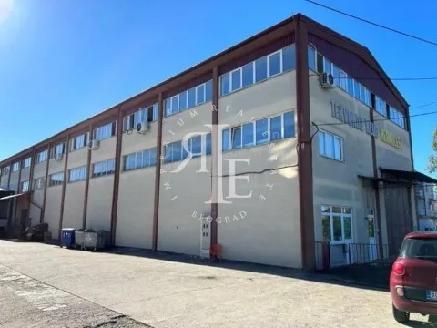 Izdavanje, poslovni prostor, 1265m², Altina, Beograd - image 5