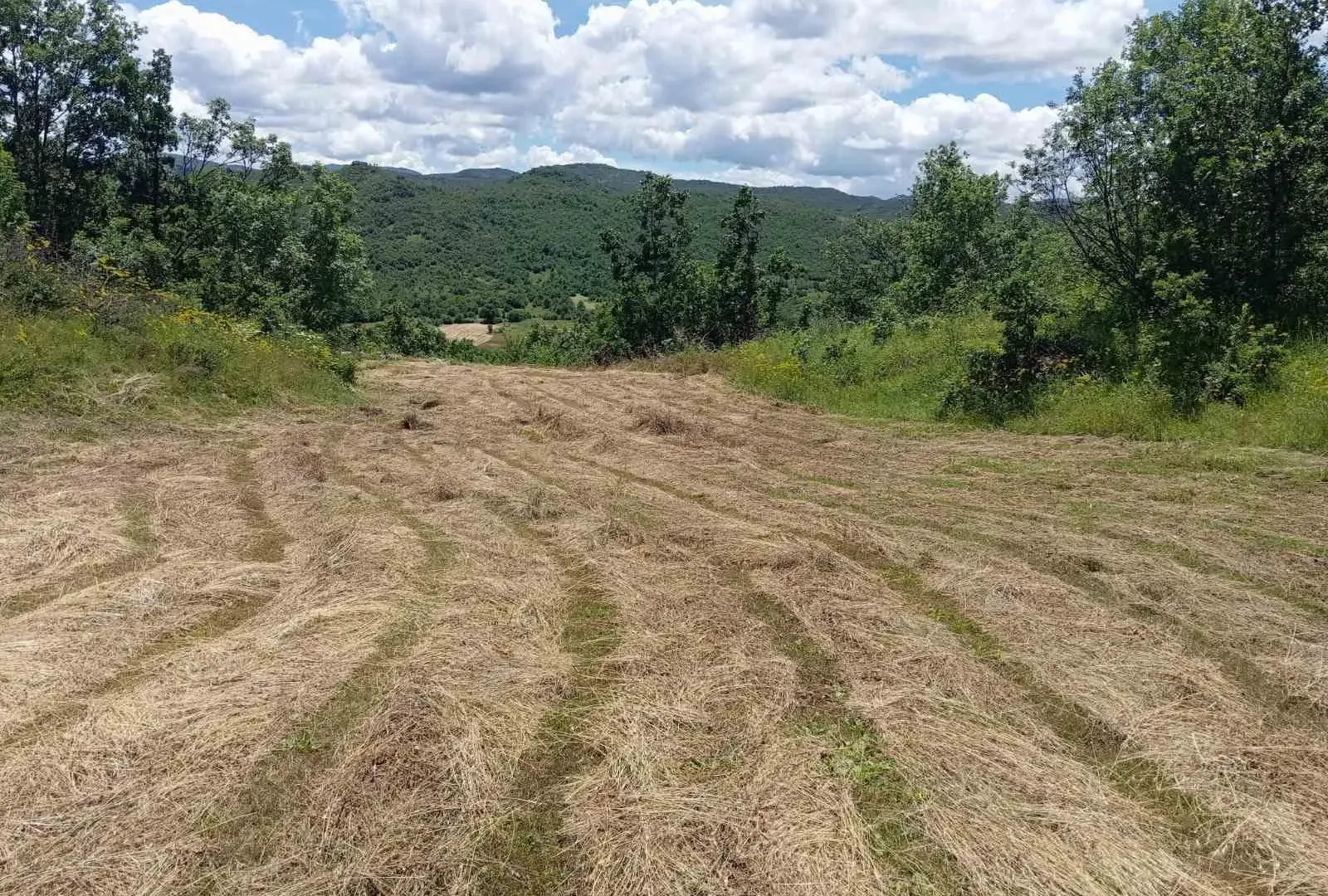 Prodaja, plac, 77200m², Velimlje, Nikšić