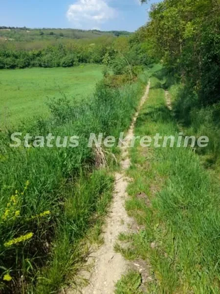 Prodaja, plac, 7500m², Irig, Srbija