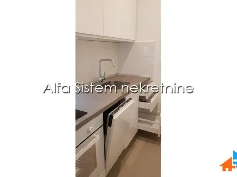Izdavanje, stan, 35m², Južni Bulevar, Vračar Sve Podlokacije - image 5