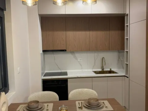 Izdavanje, dvosoban stan, 70m², Vezirov Most, Podgorica - image 14