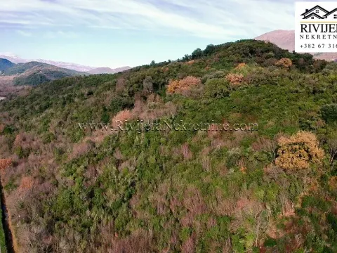 Prodaja, zemljište, 11565m2, Radanovići, Kotor Prodaja, zemljište, 11565m2, Radanovići, Kotor