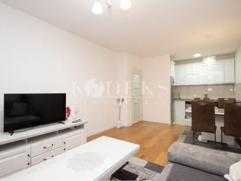 Izdavanje, jednosoban stan, 47m², Central Point, Podgorica - image 2