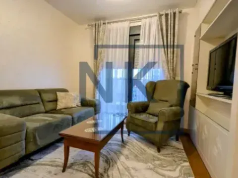 Izdavanje, jednosoban stan, 46m², Tološka šuma, Podgorica - image 2