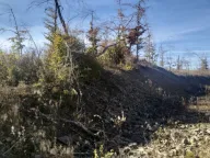 Sale, land lot, 1000m², Žirci, Kolašin - image 3