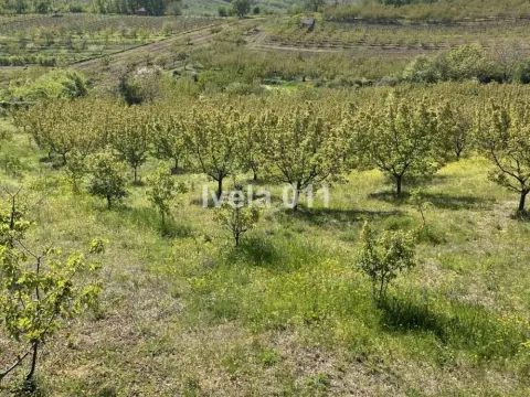 Prodaja, plac, 6200m², Grocka, Beograd - image 18