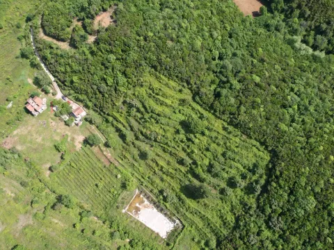 Prodaja, plac, 83000m², Radanovići, Kotor - image 16