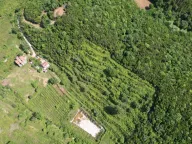 Prodaja,  zemljište, 83000m2, Radanovići, Kotor