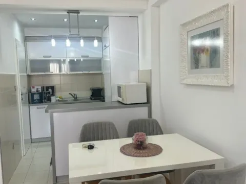 Izdavanje, jednosoban stan, 58m², Stari Aerodrom, Podgorica - image 6