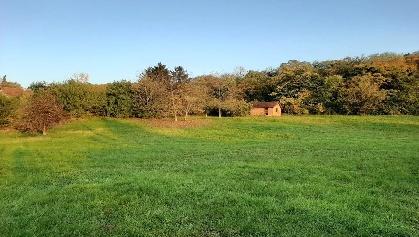 Prodaja, plac, 3104m², Ribnjak, Petrovaradin