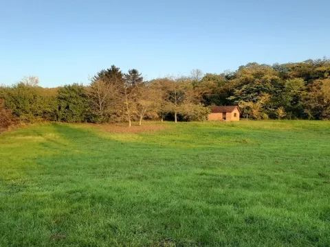 Prodaja, plac, 3104m², Ribnjak, Petrovaradin - image 3