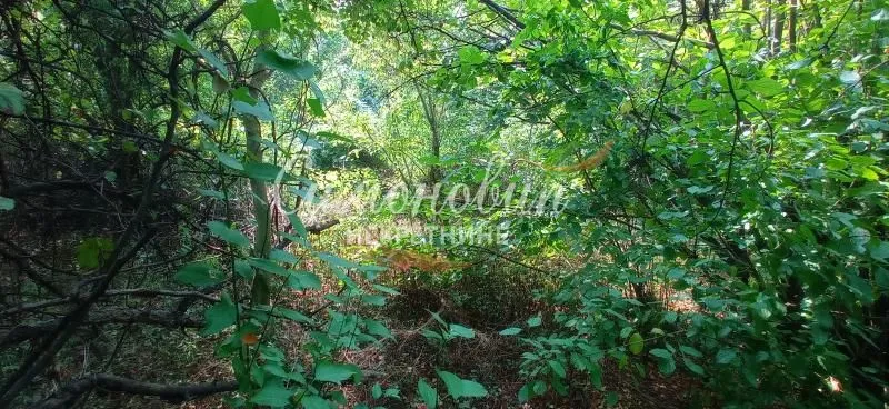 Prodaja, plac, 850m², Surčin, Beograd