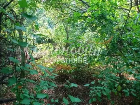 Prodaja, plac, 850m², Surčin, Beograd - image 12