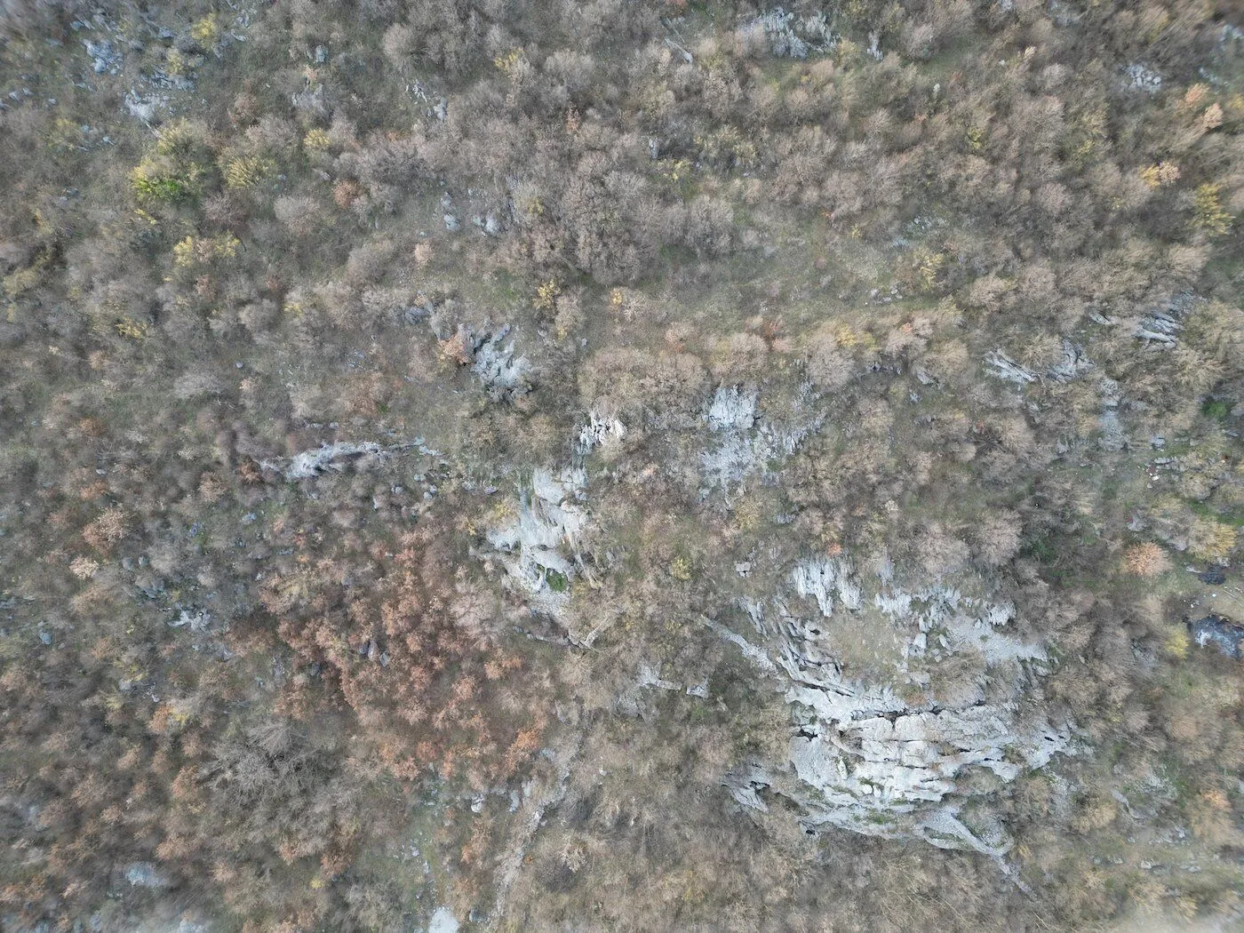 Prodaja, plac, 13500m², Bandići, Danilovgrad