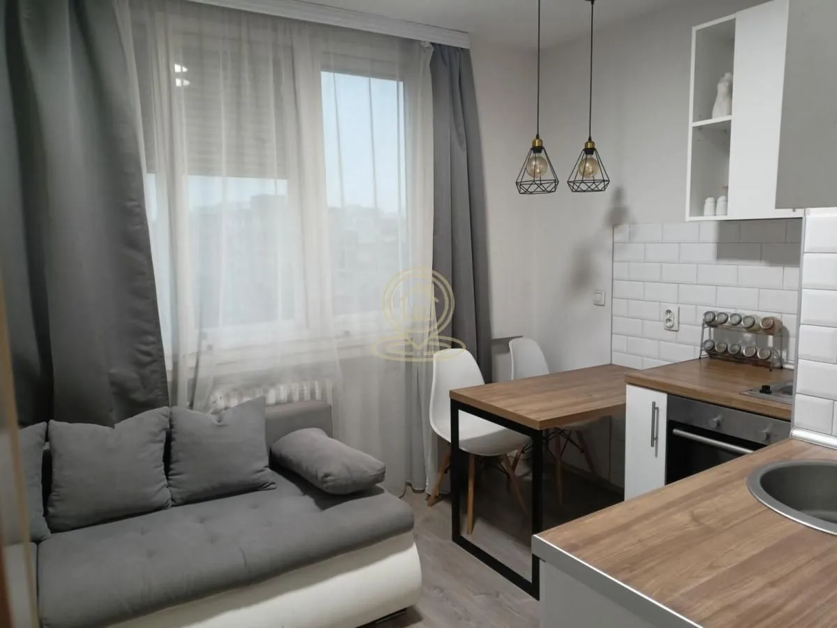 Izdavanje, jednosoban stan, 30m², Banatić, Novi Sad Sve Podlokacije