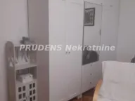 Izdavanje, dvosoban stan, 53m², Zemun Sve Podlokacije, Beograd - image 4