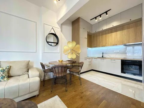 Izdavanje, jednosoban stan, 50m², Podgorica, Crna Gora - image 3