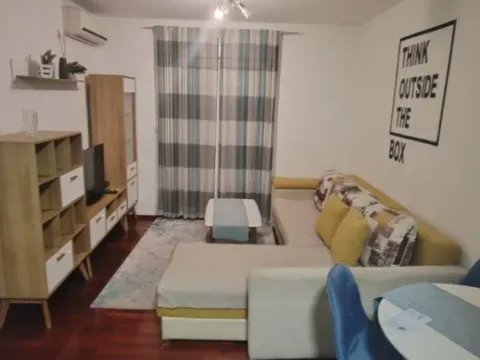 Izdavanje, jednosoban stan, 44m², Stari Aerodrom, Podgorica - image 3