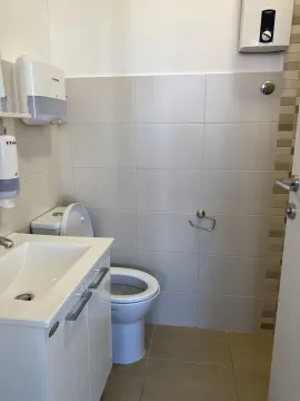 A bright and tidy bathroom with a sink and a toilet. - image 19