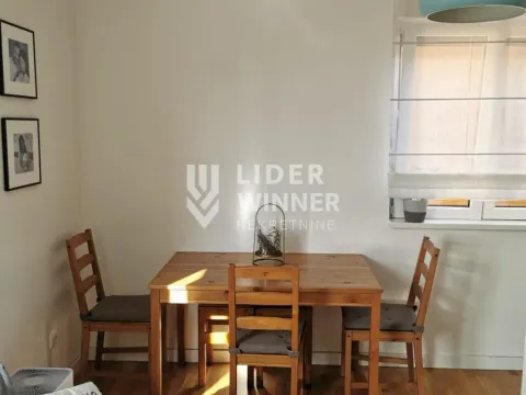 Rent, one bedroom apartment, 41m², Zemun Gornji Grad, Zemun Sve Podlokacije - image 6