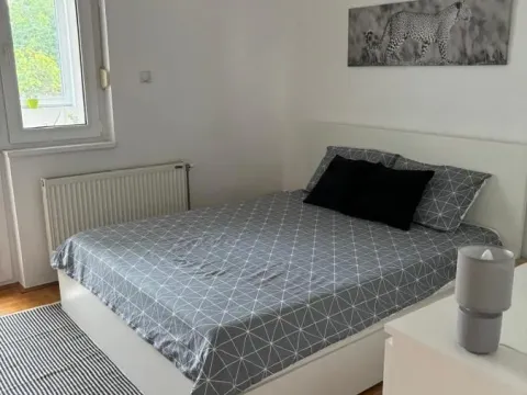 Izdavanje, dvosoban stan, 50m², Socijalno, Novi Sad Sve Podlokacije - image 11