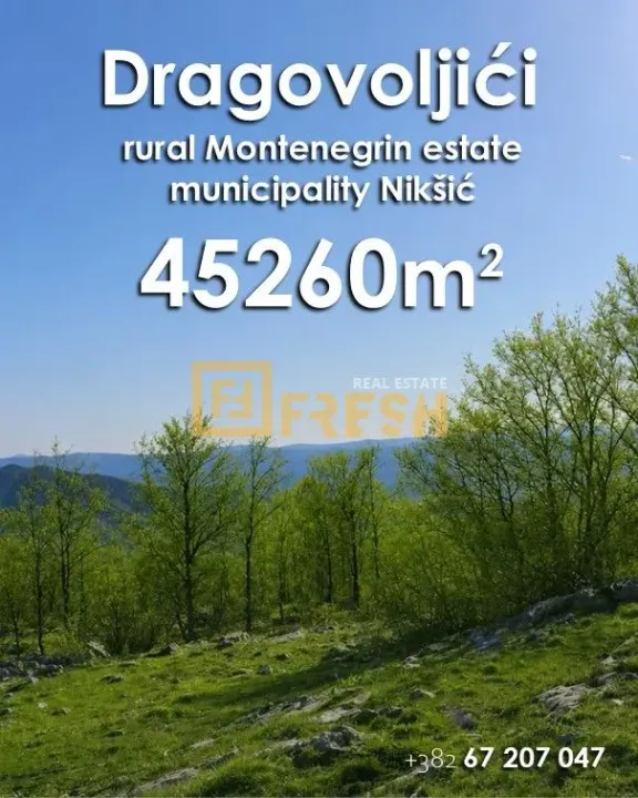 Sale, land lot, 45260m², Nikšić, Crna Gora