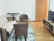 Izdavanje, jednosoban stan, 42m², Stari Aerodrom, Podgorica - image 5