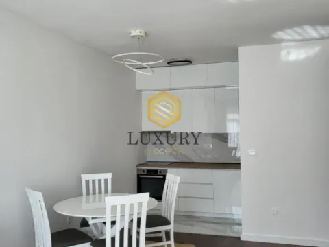 Rent, one bedroom apartment, 44m², Central Point, Podgorica - image 9