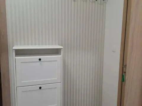 Izdavanje, jednosoban stan, 50m², Master Kvart, Podgorica - image 7