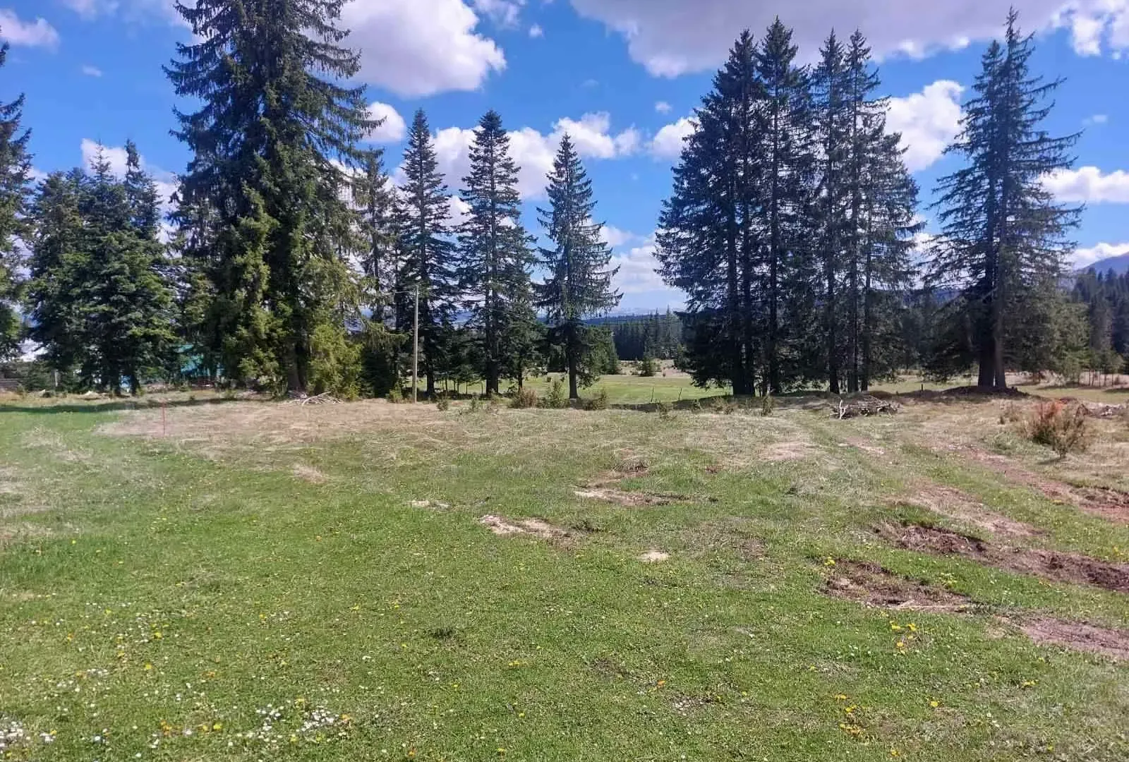 Prodaja, plac, 17505m², Žabljak, Crna Gora