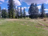 Sale, land lot, 17505m², Žabljak, Crna Gora - image 8