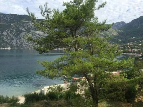 Sale, studio apartment, 48m², Risan, Kotor - image 9