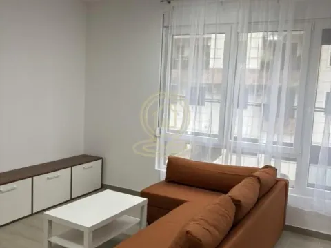 Izdavanje, jednosoban stan, 40m², Crveni Krst, Beograd - image 8