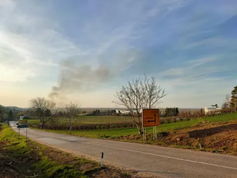 Prodaja, plac, 6000m², Beočin, Srbija - image 3