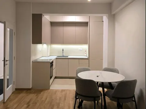 Izdavanje, jednosoban stan, 46m², Zabjelo, Podgorica - image 4