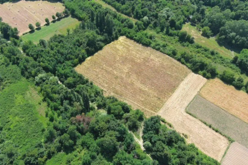 Prodaja, plac, 17000m², Zeta, Podgorica