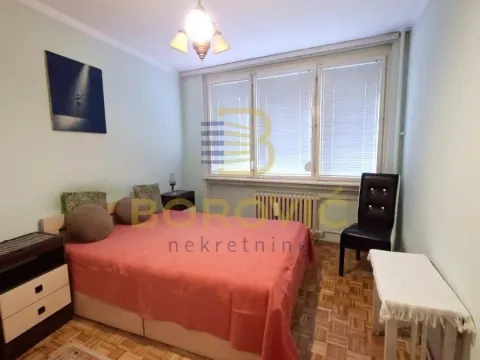 Izdavanje, jednosoban stan, 50m², Vračar Hram, Vračar Sve Podlokacije - image 3