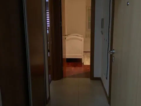 Izdavanje, jednosoban stan, 45m², Stari Aerodrom, Podgorica - image 10