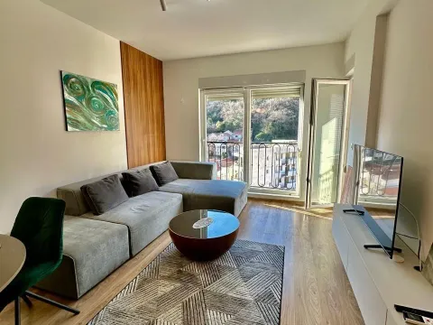 Rent, one bedroom apartment, 50m², Boreti, Budva - image 1