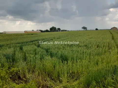 Prodaja, plac, 686m², Futog, Novi Sad Sve Podlokacije - image 12