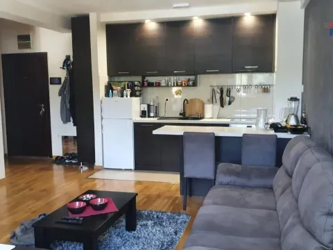 Izdavanje, jednosoban stan, 42m², Grbavica, Novi Sad Sve Podlokacije - image 2