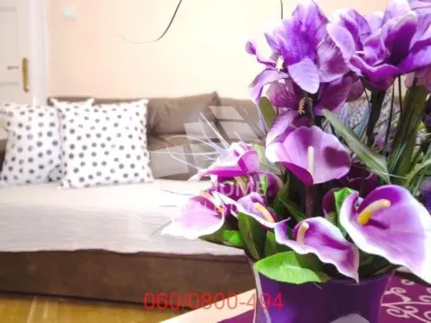 Prodaja, dvosoban stan, 56m², Stari Grad, Beograd - image 3