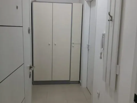 Izdavanje, jednosoban stan, 45m², Zagorič, Podgorica - image 8