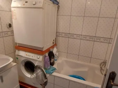 Prodaja, kuća, 340m², Veternik, Novi Sad Sve Podlokacije - image 12