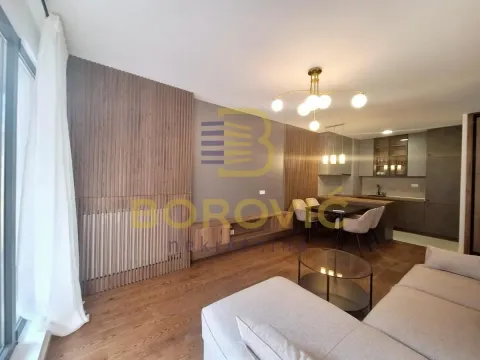 Izdavanje, dvosoban stan, 67m2, Višnjička Banja, Palilula, Beograd Izdavanje, dvosoban stan, 67m2, Višnjička Banja, Palilula, Beograd