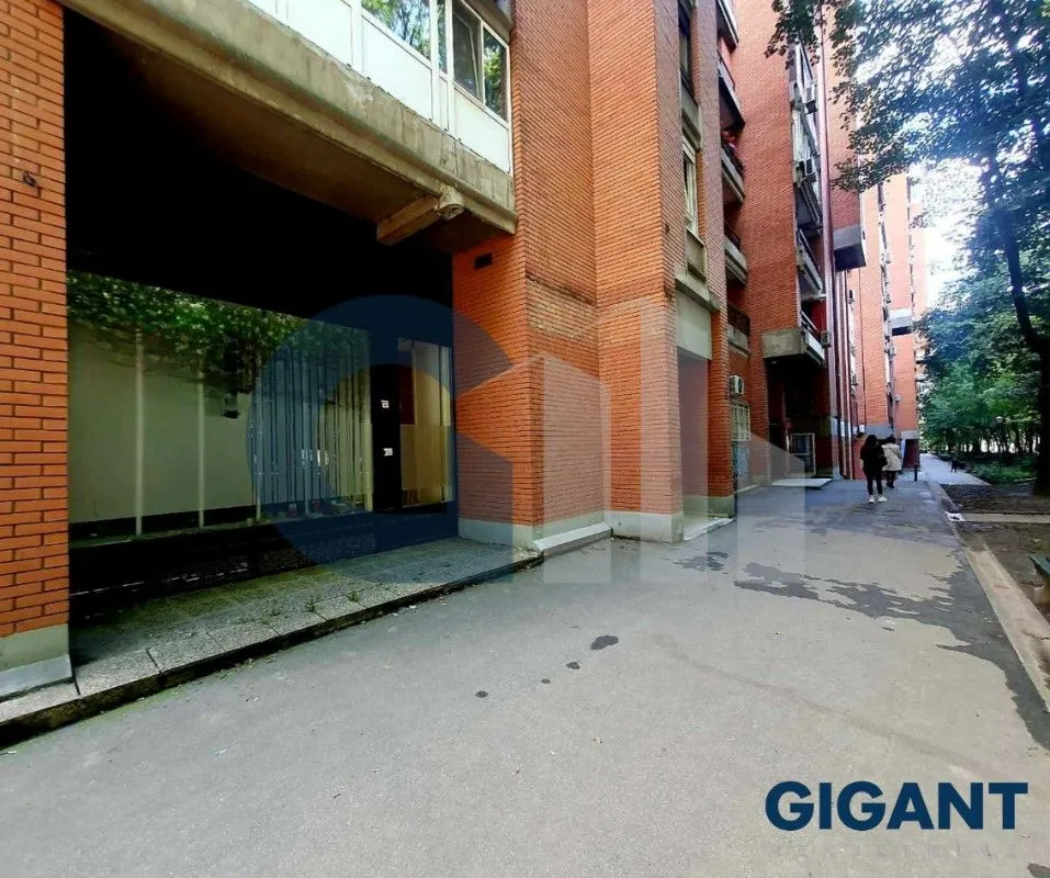 Izdavanje, poslovni prostor, 153m², Lion, Zvezdara Sve Podlokacije